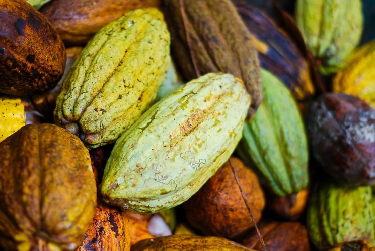 Costa Rican Chocolate in Guanacaste