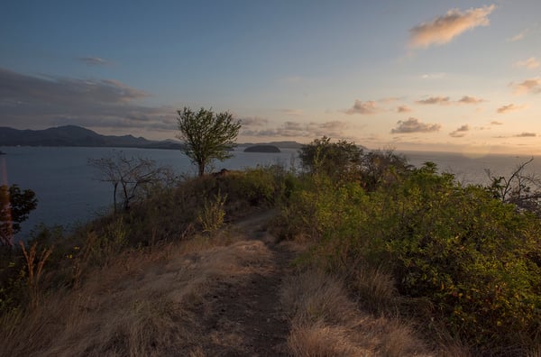 The Hiking Trails at Las Catalinas-4