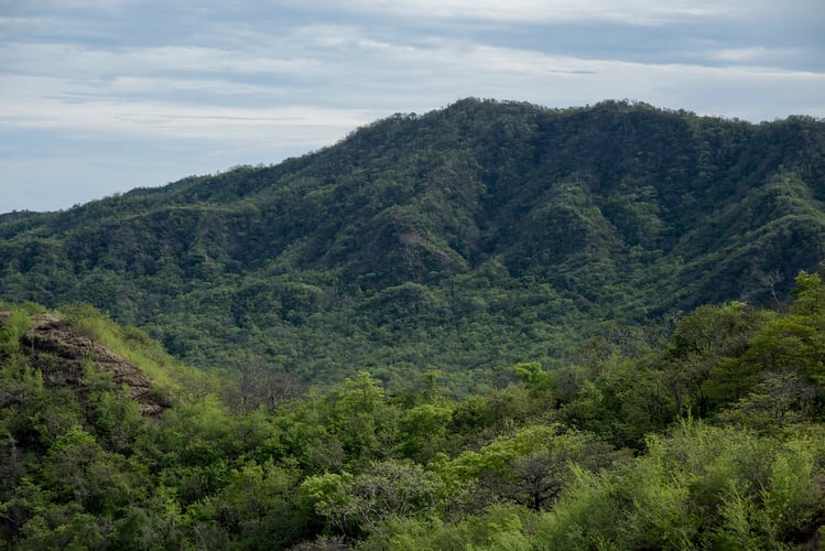 The National Parks of Costa Rica