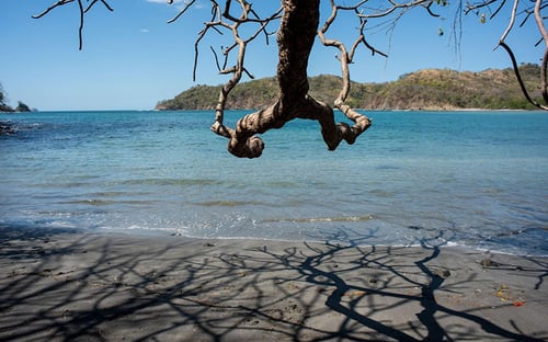 Discovering Guanacaste’s Blue Flag Beaches (2)